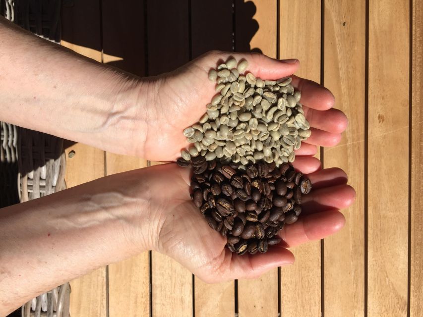 Roast Your Own Coffee: SF Bay Area - Sum Up