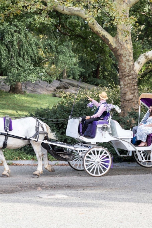 Royal Carriage Ride in Central Park NYC - Common questions