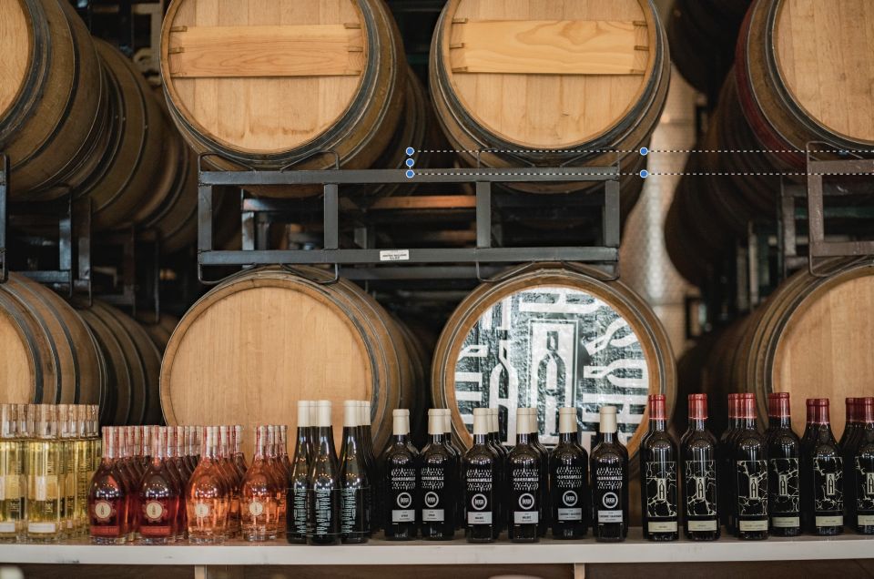 Temecula: Guided Sidecar Wine Tasting Tour - Experience Highlights