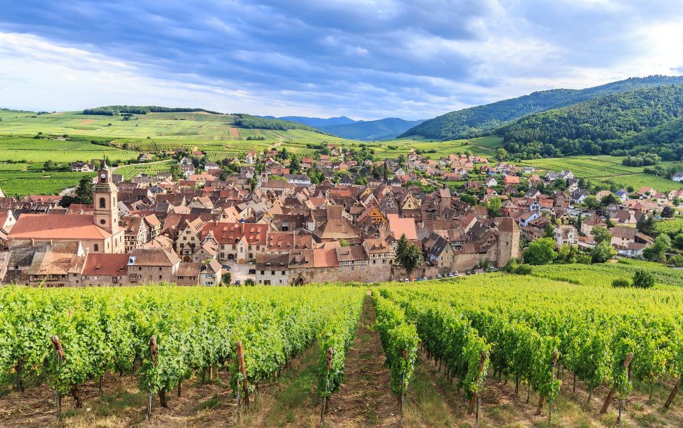 Alsace Wine Odyssey: Full-Day Private Tour From Strasbourg - Key Points