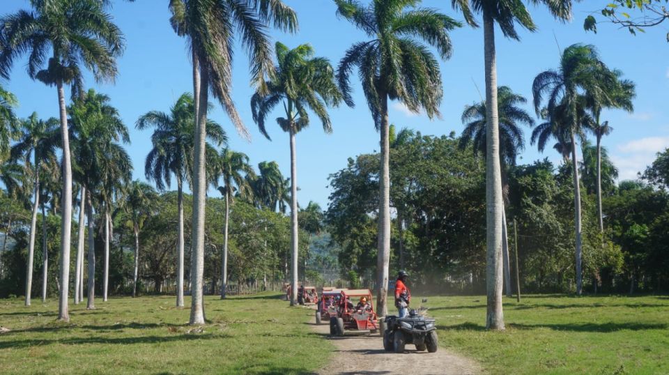 Amber Cove - Taino Bay Super Buggy Tour - Key Points