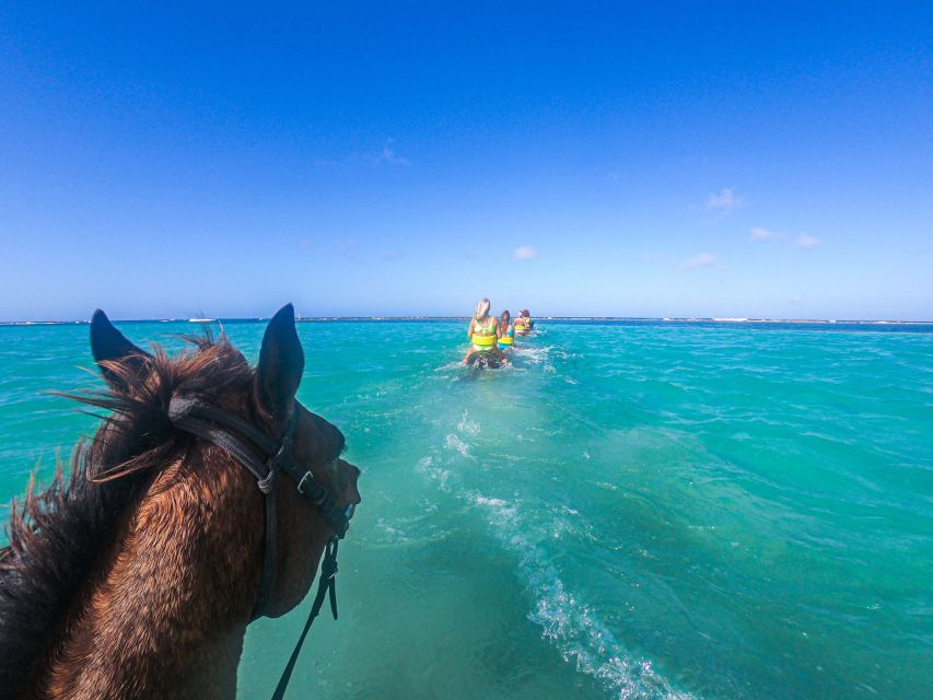 ATV and Horseback Ride and Swim From Montego Bay - Key Points