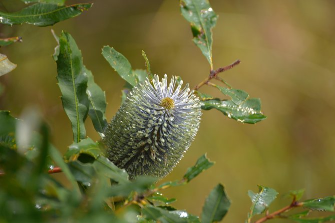 Brisbanes Photography Course For Beginners - Key Points