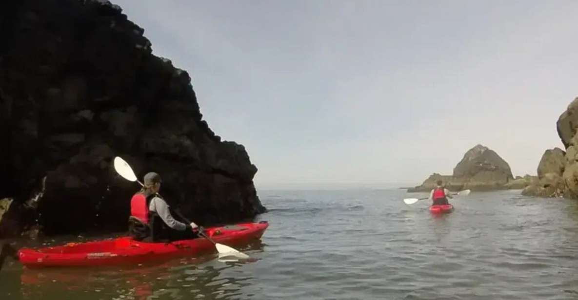 Brookings: Pacific Ocean Kayak Tour - Key Points