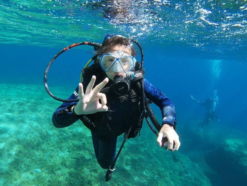 Calvi: PE12 Certificate Diving Lessons With Instructor - Key Points