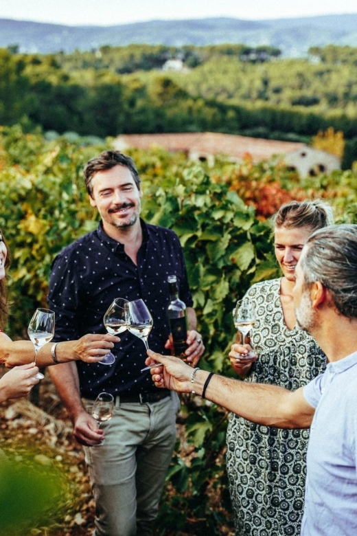 Cannes: Provence Wine Tour - Private Tour From Cannes - Key Points