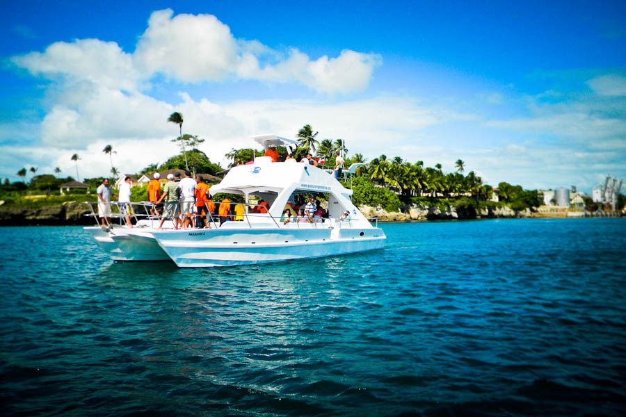 Catalina Island Scuba Diving Tour From Punta Cana - Key Points