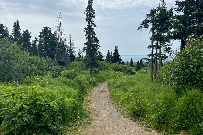 Chugach State Park Nature Walk - Key Points