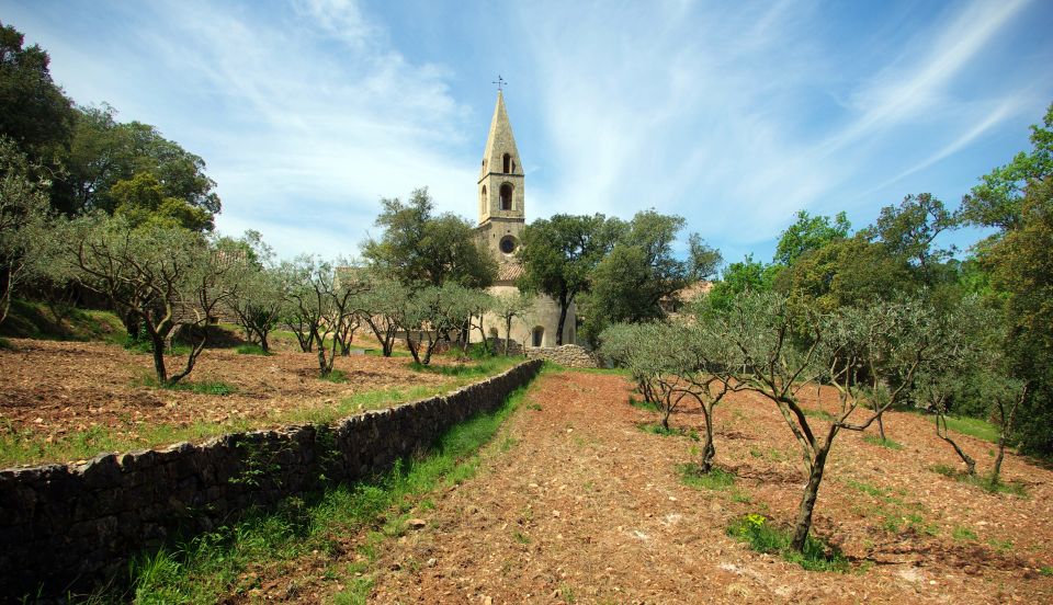 Churches of Provence & French Countryside Private Tour - Key Points