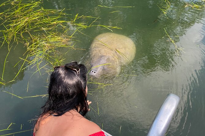 Crystal River: Private Manatee Boat Tour - Key Points