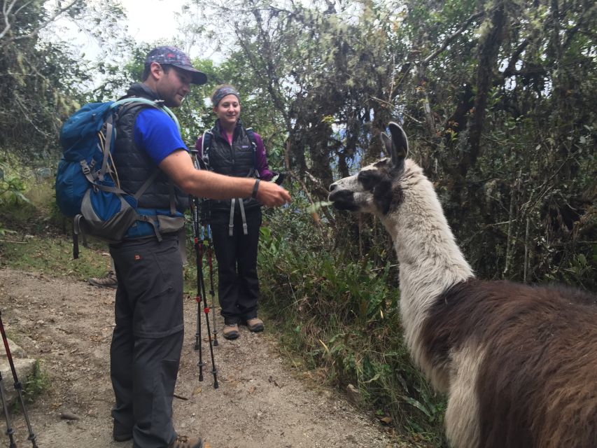 Cusco: Machu Picchu Inca Trail 4-Day Trek - Key Points