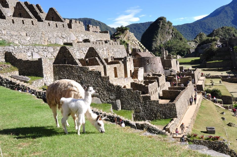 Cusco to Machu Picchu Day Trip - Key Points