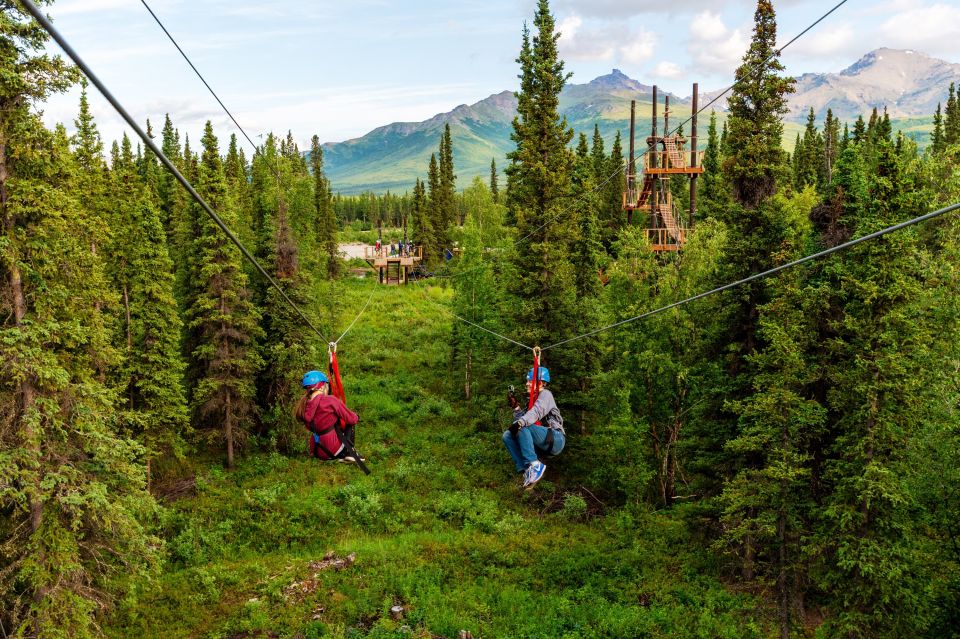 Denali Park Zipline Adventure - Key Points