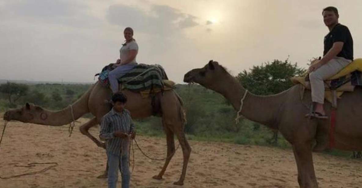Desert Camel Safari Day Tour In Jodhpur - Tour Details