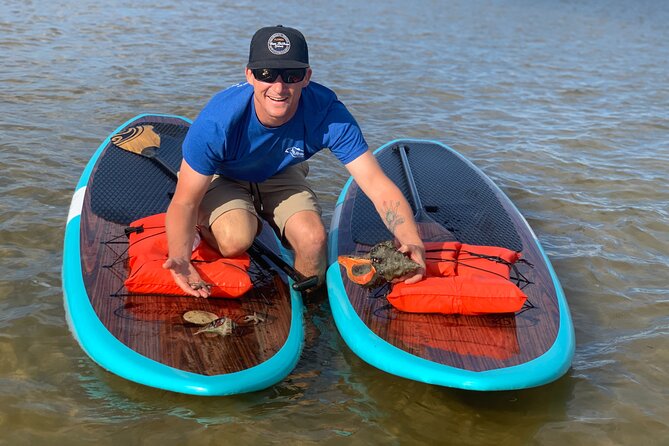 Dolphin and Manatee Tour of Marco Island by Kayak or SUP - Key Points