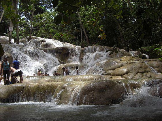 Dunns River Falls and Fern Gully Highlight Tour - Key Points