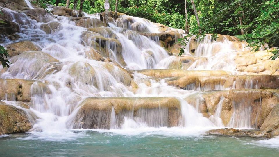 Dunns River Falls and Luminous Lagoon With Transportation - Key Points