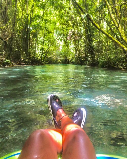 Dunns River Falls and River Tubing Private Tour