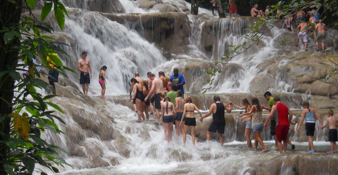 Dunns River Falls Climb and Private Transportation - Key Points