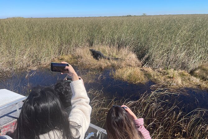 Everglades Airboat, Wildlife Experience With Roundtrip Transfer - Customer Experiences