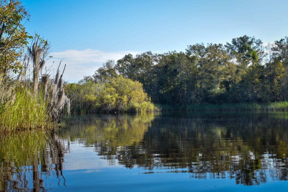 Everglades City: Guided Kayaking Tour of the Wetlands