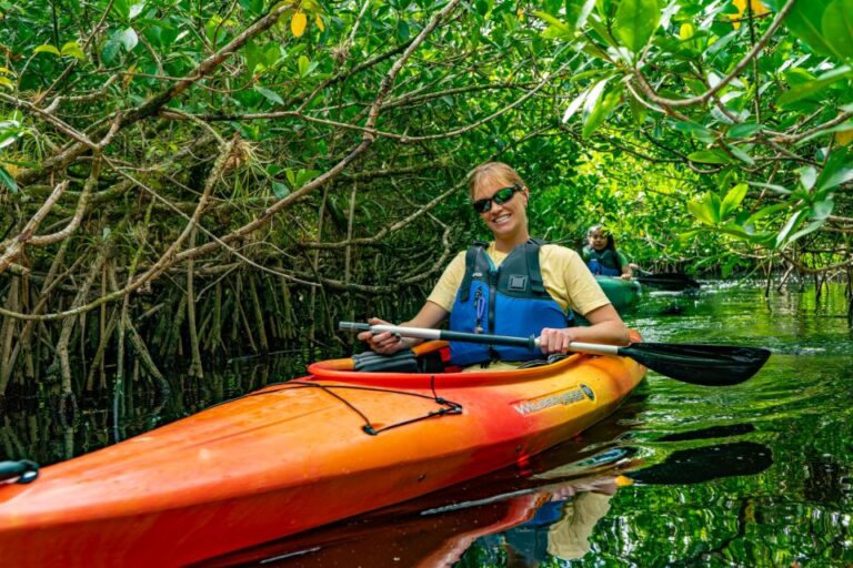Everglades: Guided Kayak and Airboat Tour
