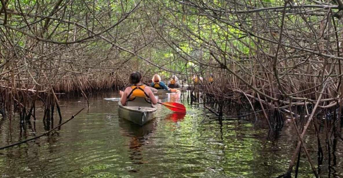 Everglades Kayak Eco Tour - Booking Details