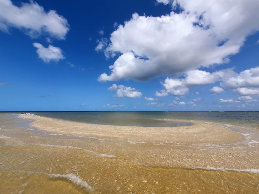 Everglades National Park: Motorboat Eco Tour - Key Points