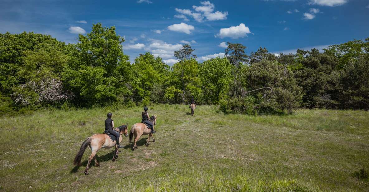 Fontainebleau : Horse-riding, Gastronomy & Château - Key Points