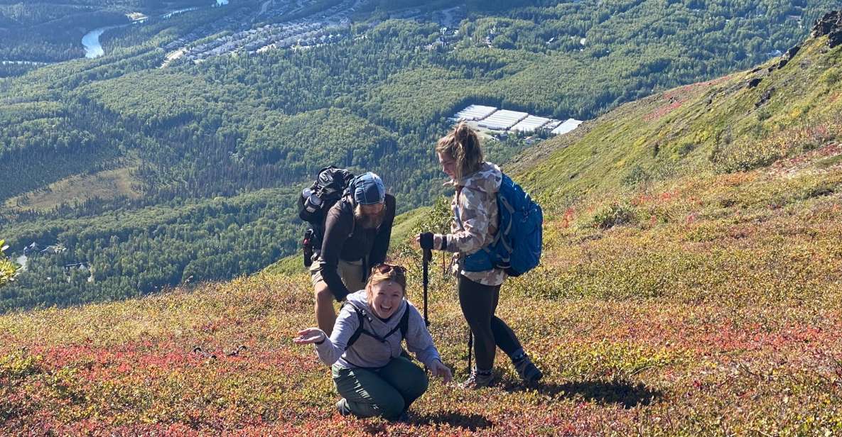 From Anchorage: Chugach State Park Guided Alpine Trek - Experience Highlights