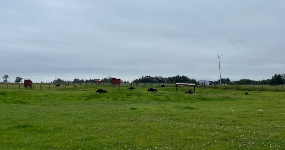 From Anchorage: Scenic Drive and Guided Musk Ox Farm Tour - Key Points