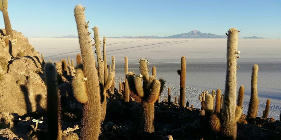 From Atacama | Private Service - Uyuni Salt Flat - 3 Days - Key Points