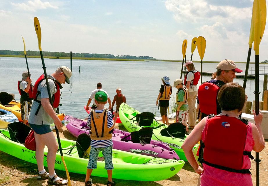 From Chincoteague: Guided Kayak Tour to Assateague Island - Key Points