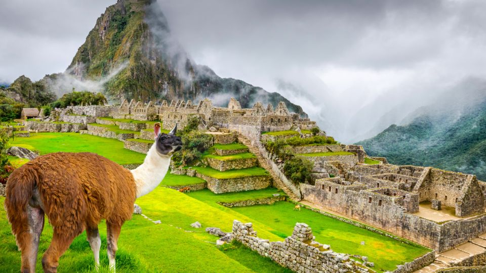 From Cusco: Machu Picchu Day Trip by Vistadome Train - Key Points