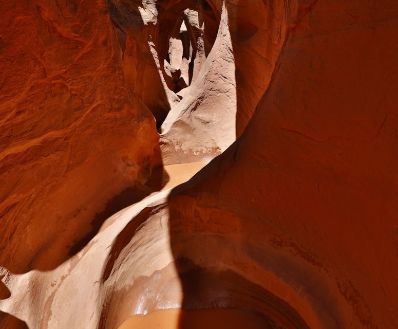 From Escalante: Dry Fork, Peekaboo & Spooky Slot Canyon Tour - Key Points