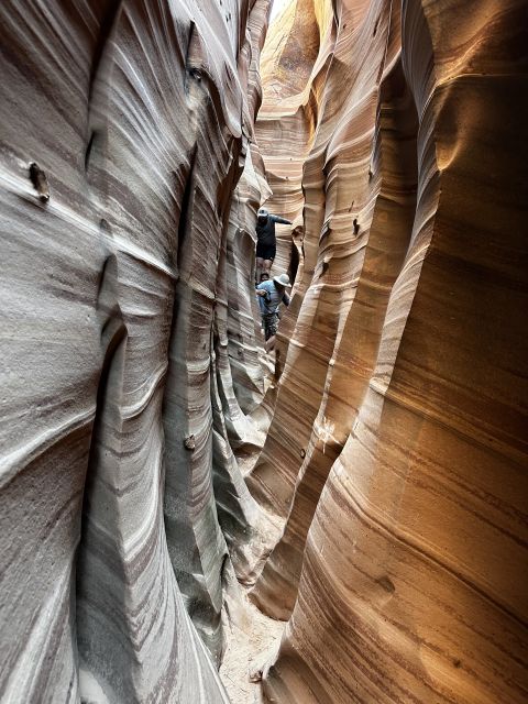 From Escalante: Zebra Slot Canyon Guided Tour and Hike - Key Points