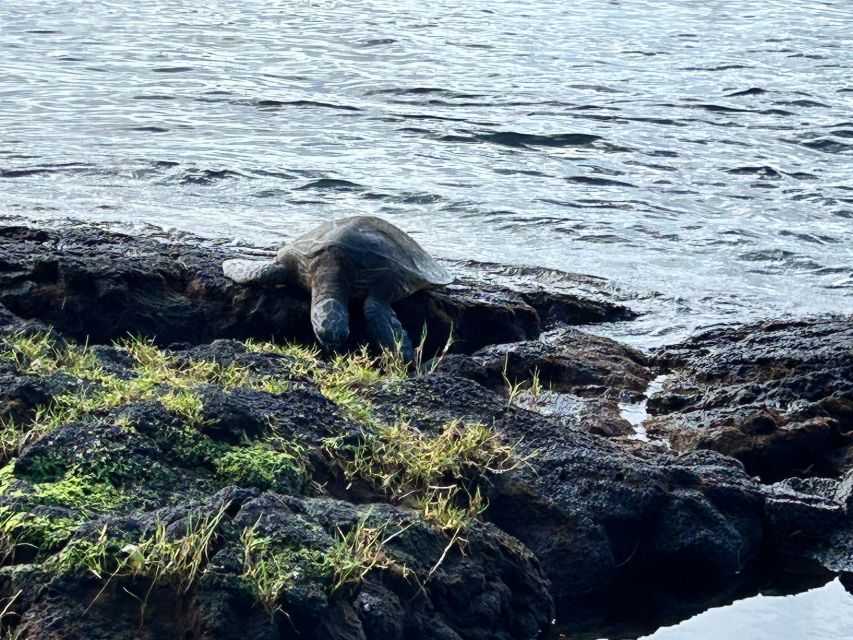 From Hilo: Hawaii Volcanoes National Park Tour - Key Points