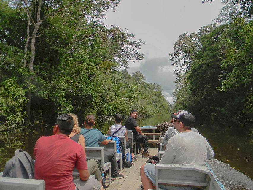 From Iquitos: 4-Day Guided Amazon Wildlife Exploration Tour - Description