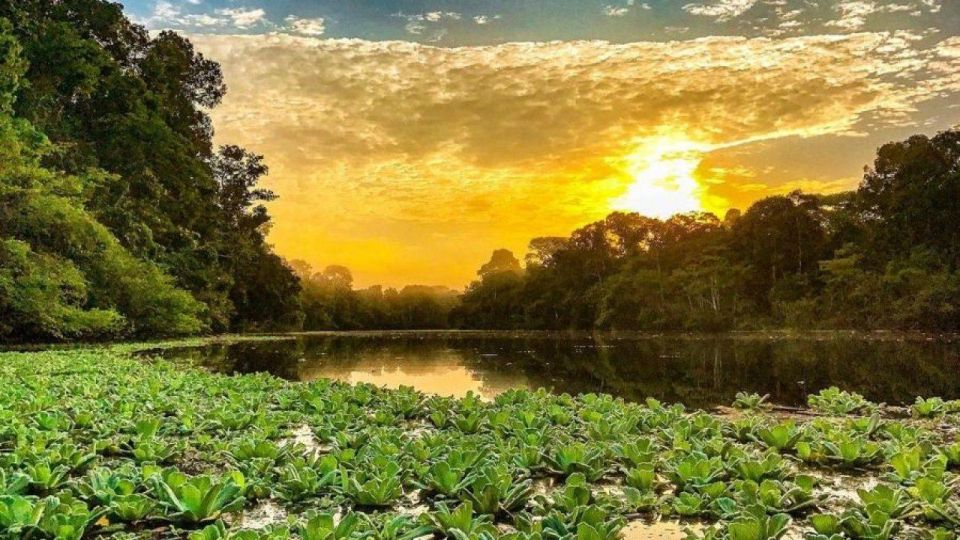 From Iquitos || 4 Day Yanayacu River Tour With Bird Watching - Key Points