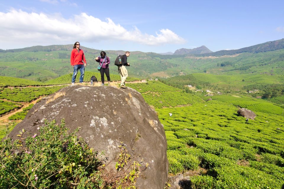 From Kochi: Munnar & Tea Museum Private Guided Tour - Tour Details