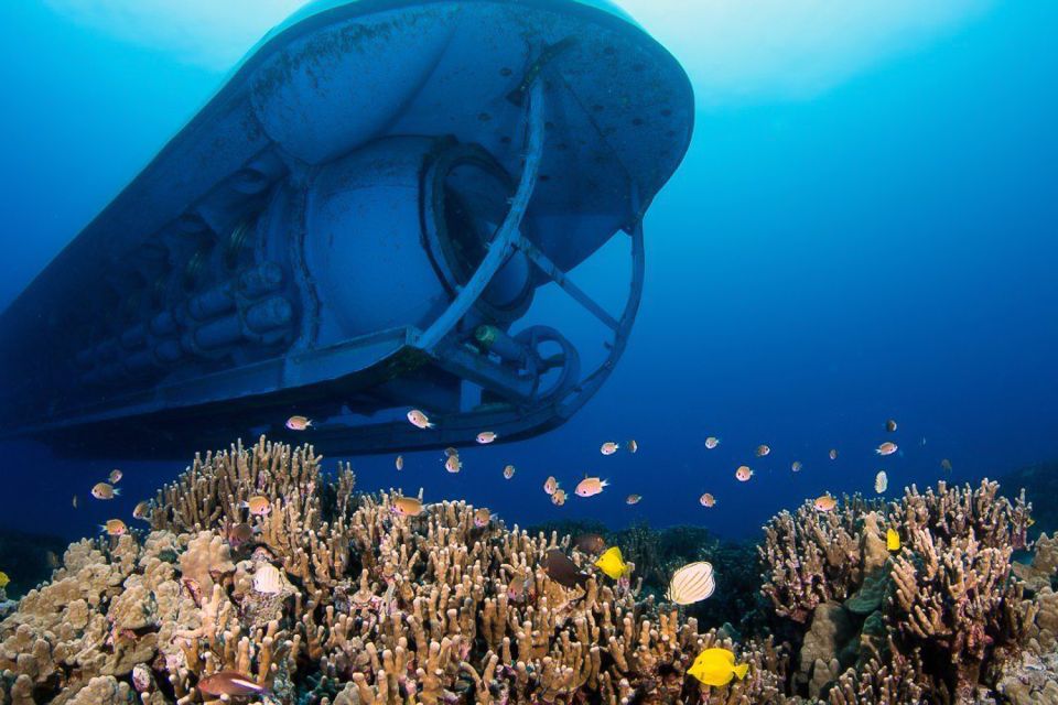 From Kona: Big Island Underwater Submarine Adventure - Key Points