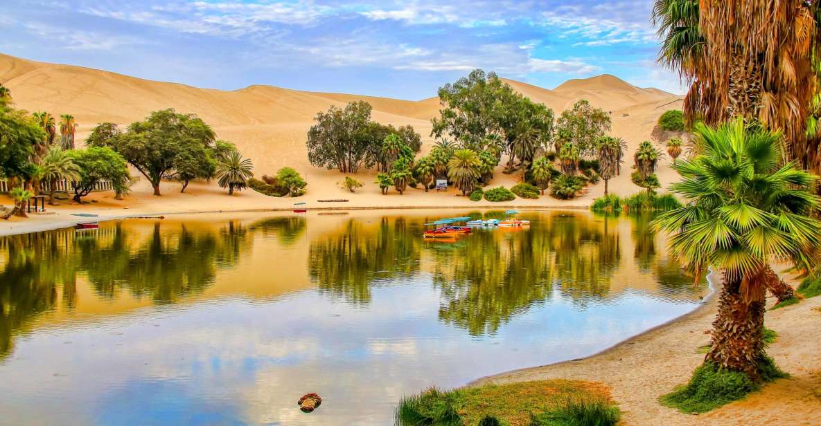 From Lima: Ballestas Island & Huacachina Oasis Private Tour - Key Points