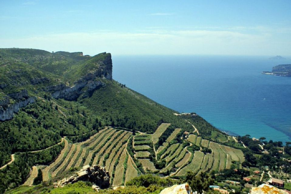 From Marseille: Bandol/Cassis Wine Tour With Viewpoint - Key Points