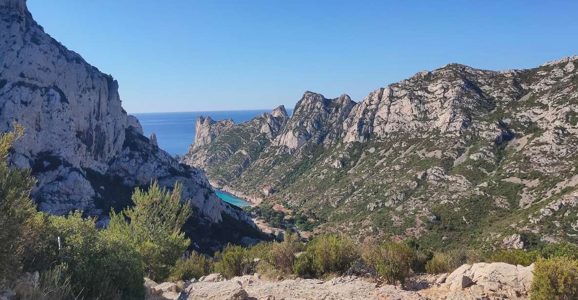 From Marseille: Cassis Boat Cruise - Key Points