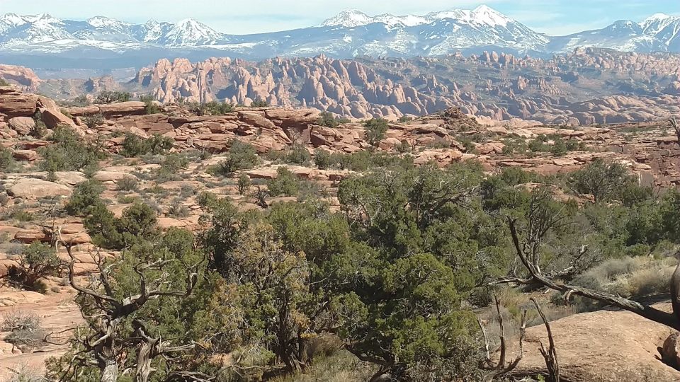 From Moab: Rock of Ages Moderate Rappelling Obstacle Course - Key Points