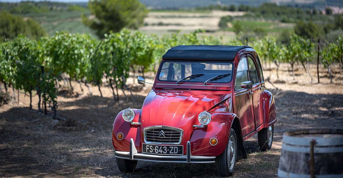 From Montpellier: Winery Tour in a Vintage Citroën 2CV - Key Points