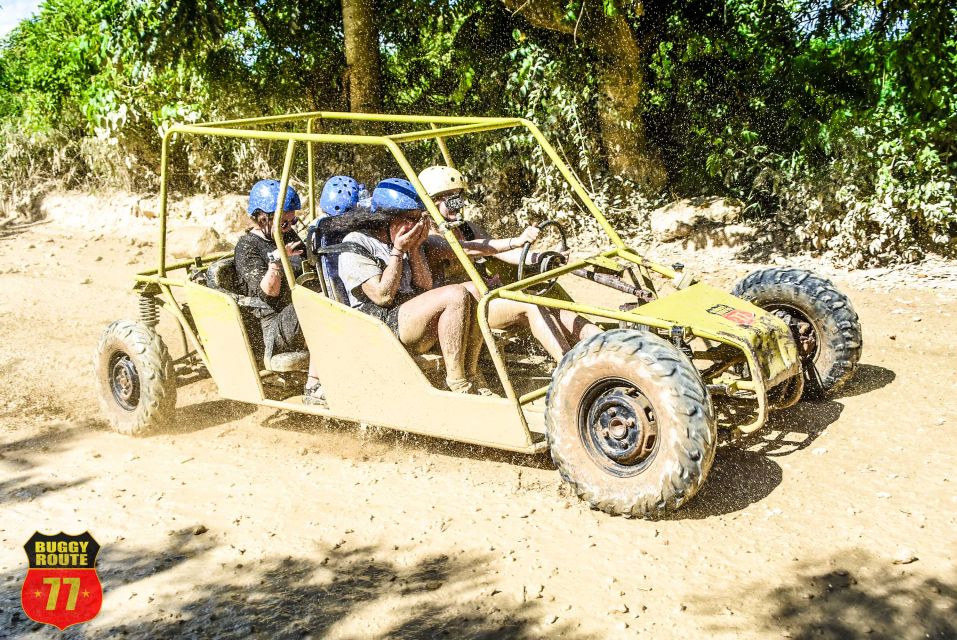 From Punta Cana: Countryside Off-Road Buggy Adventure - Key Points