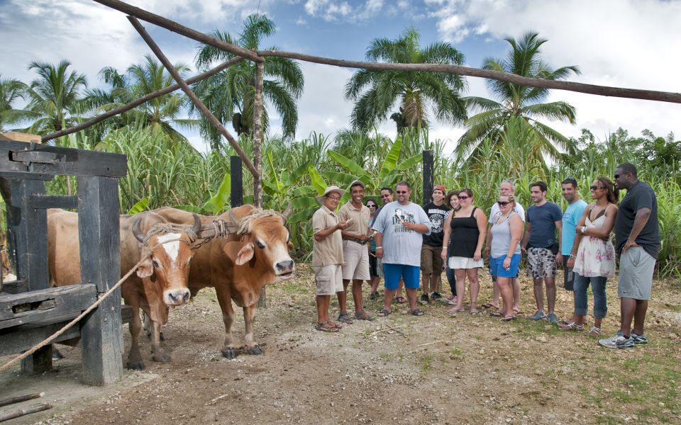 From Punta Cana: Safari Traditional Tour With Lunch - Key Points