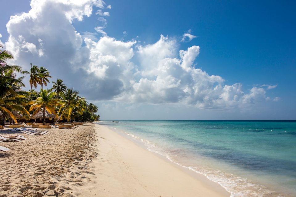 From Punta Cana: Saona Island Cruise With Private Beach - Key Points