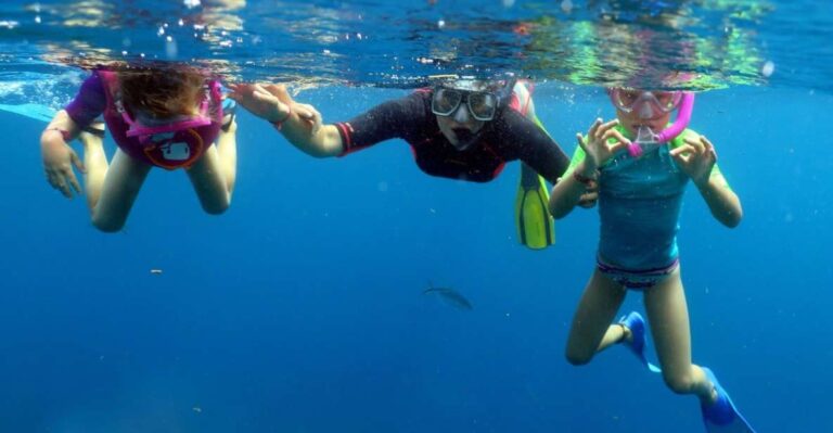 From Punta Cana: Small Group Catalina Island Snorkeling Tour